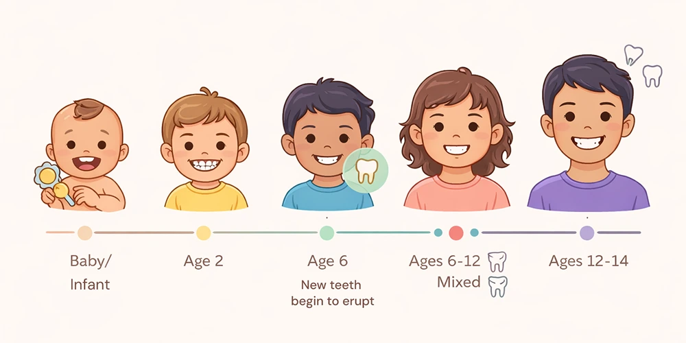 Children teeth development timeline